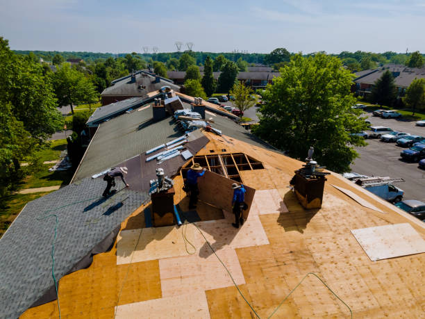 Trusted Flat Roof Repair service in Syria, VA - Brentwood Metal Roofing